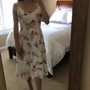 BB Dakota Dress